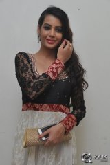 Diksha Panth at Gopala Gopala Movie Audio Launch